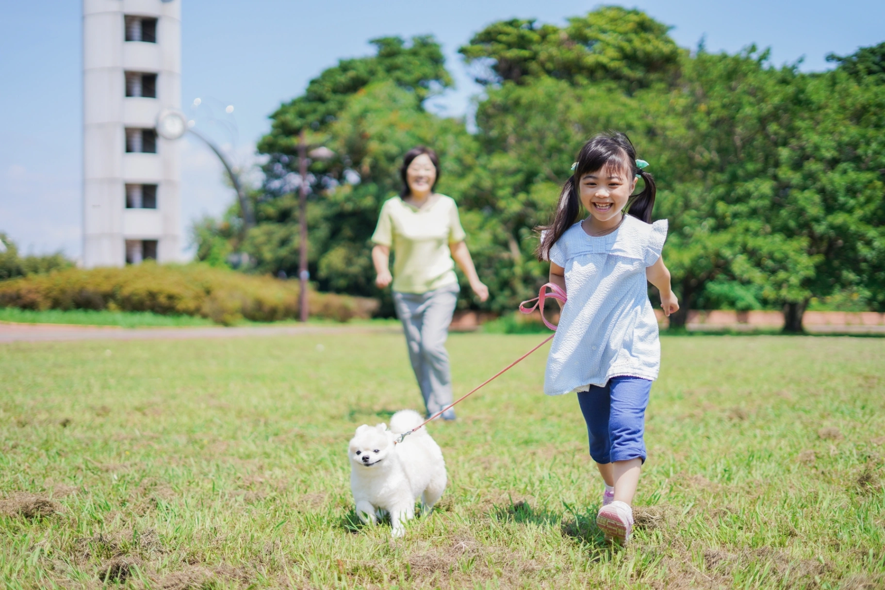 🌿 ペット同伴OKの公園・散歩スポット