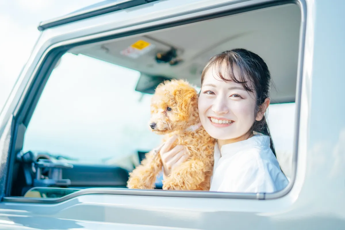 🌊 散歩・絶景スポット