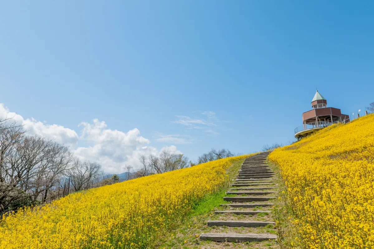 ⛰️ 絶景ドライブルート