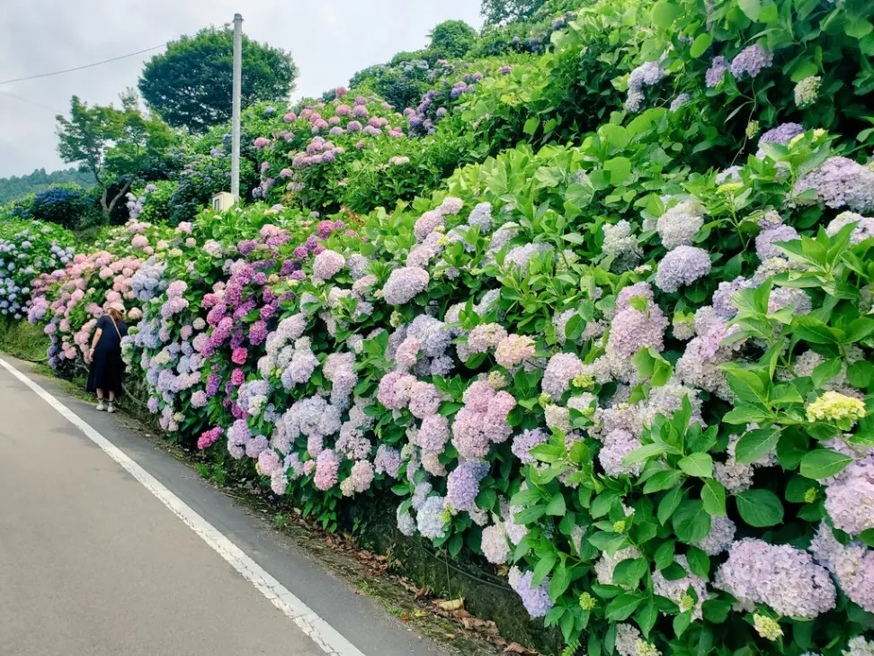 🌸 花と歴史の散歩・公園