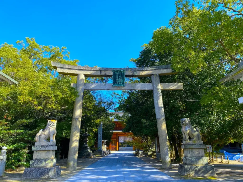 [Latest December 2026] Ehime Shimanami Kaido Event Calendar & Map! Winter Illuminations & Christmas Events