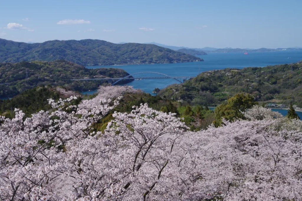 [Latest April 2026] Ehime Shimanami Kaido Event Calendar & Map! Cherry Blossom Festivals & Island Marche
