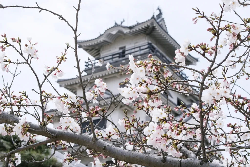 春の今治を満喫！4月のお出かけイベントカレンダー＆便利な観光マップ