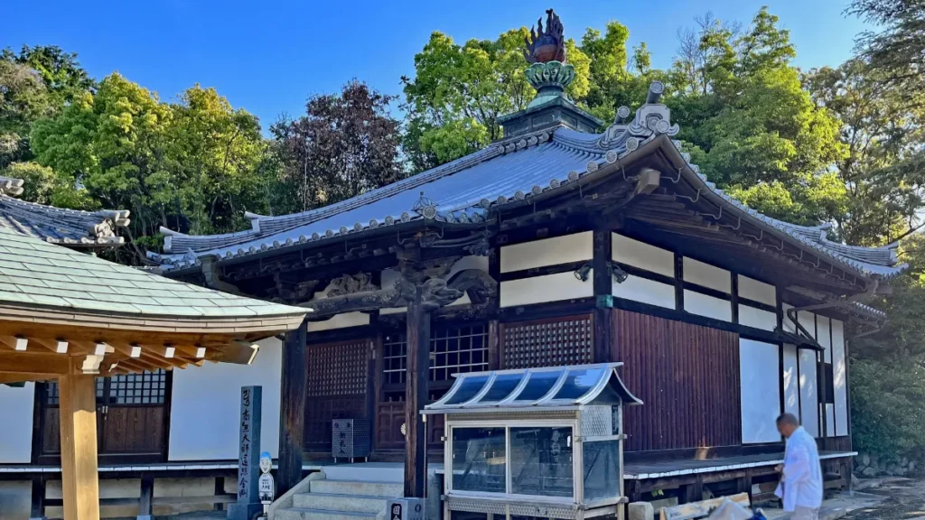 漫步今治新春。1月新年參拜、點燈及外出活動指南