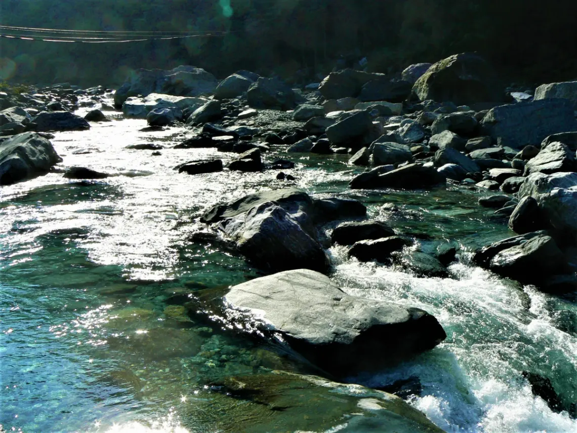 丹原採水果與秋風。西條市9月豐收祭・賞月自駕地圖