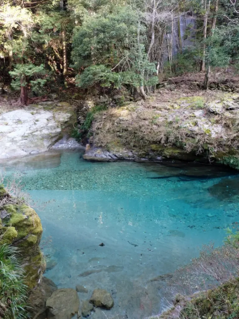 GWは霧の森の大自然へ！新緑輝く四国中央市5月のアウトドア・お出かけ情報