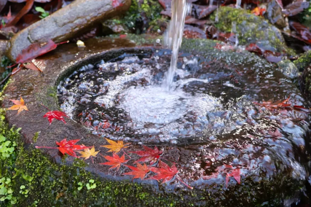 鮮やかな紅葉と食欲の秋！四国中央市11月の産業祭・秋の行楽ドライブマップ