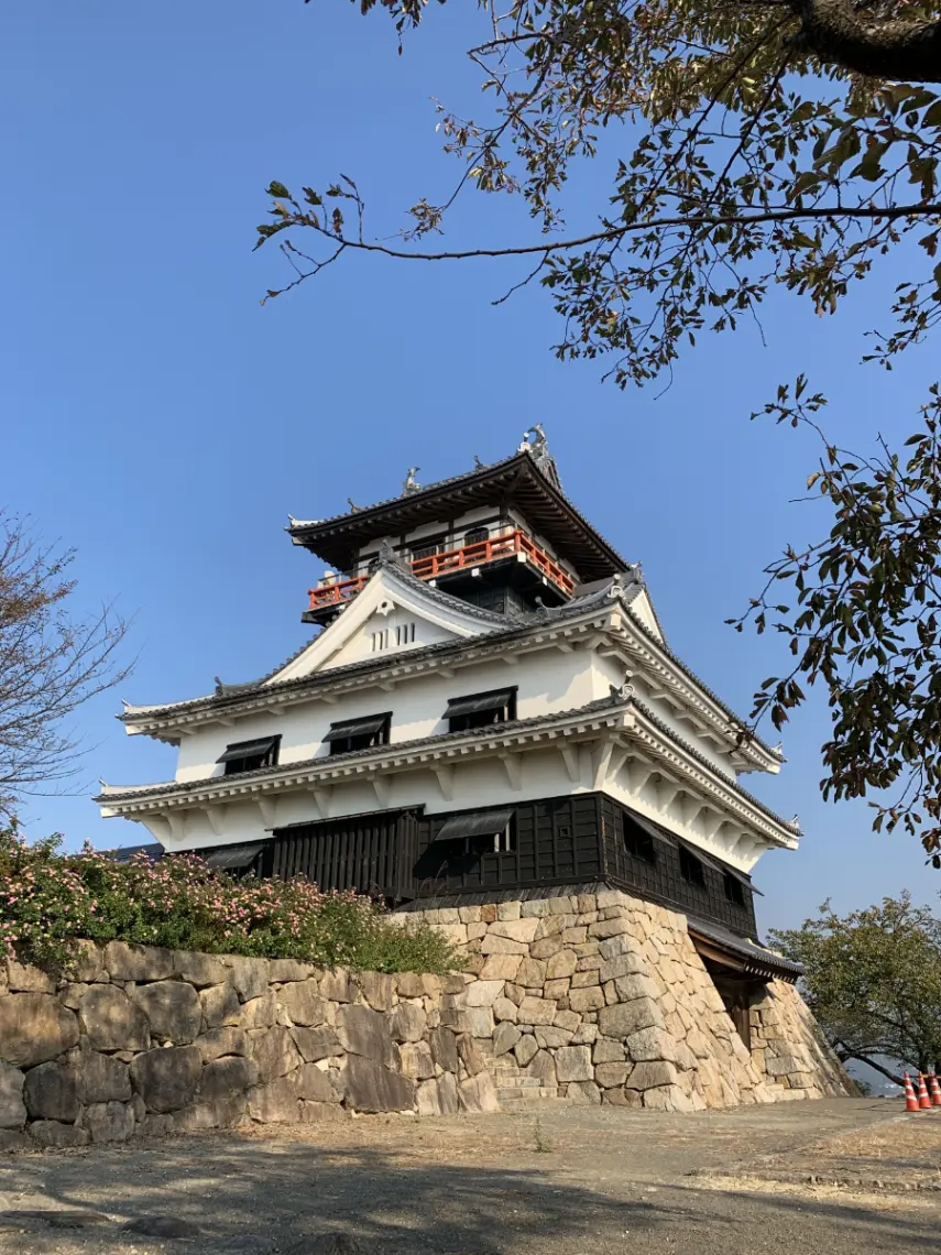 點綴冬夜的燈飾。四國中央市12月聖誕節與年末活動指南