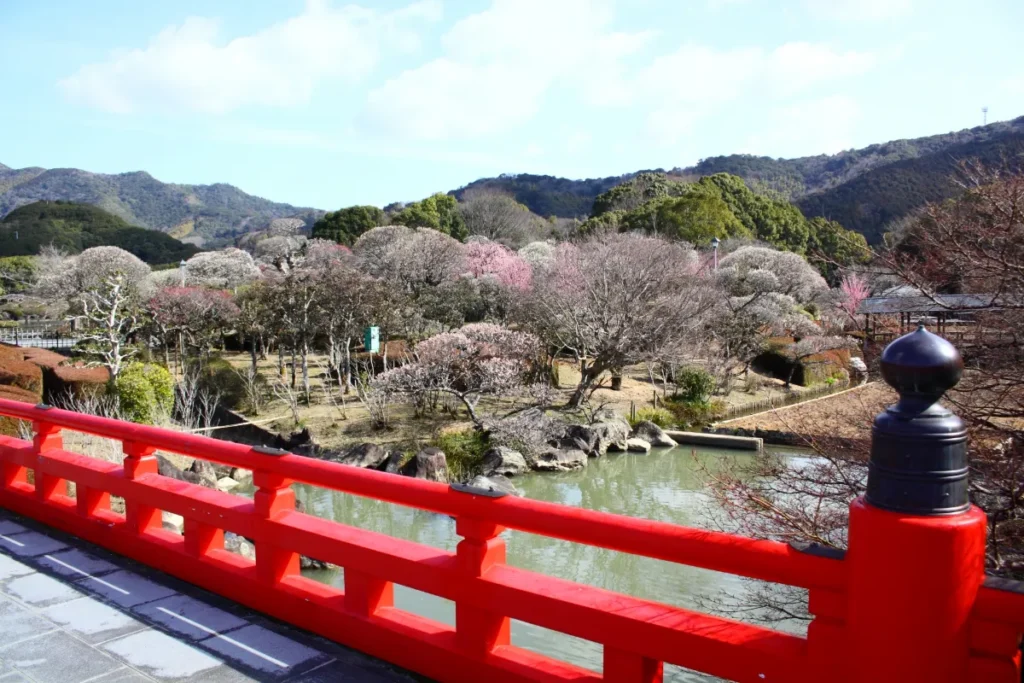南楽園の梅まつりと冬の味覚。宇和島市2月のお出かけ・グルメガイド