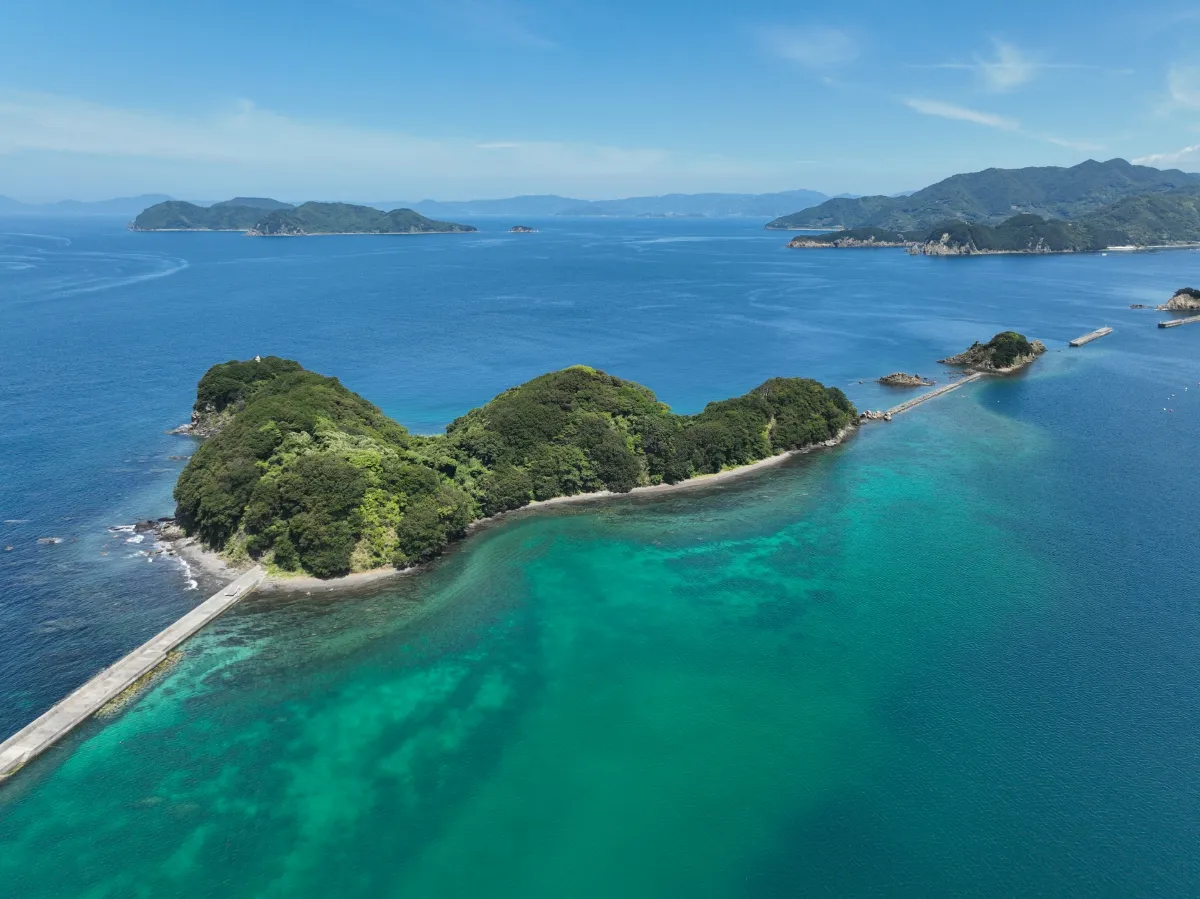 明濱海灘開放與夏日祭典！西予市7月海濱休閒與出遊指南