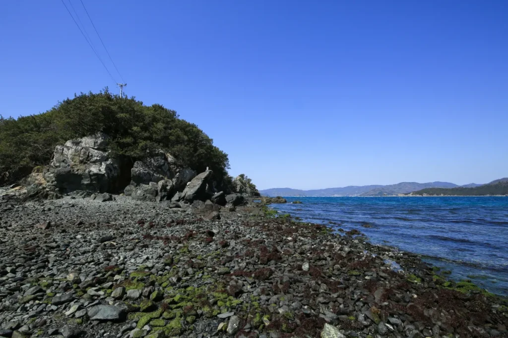 港町を彩る紫陽花と海の情景。八幡浜市6月のしっとり初夏・お出かけまとめ