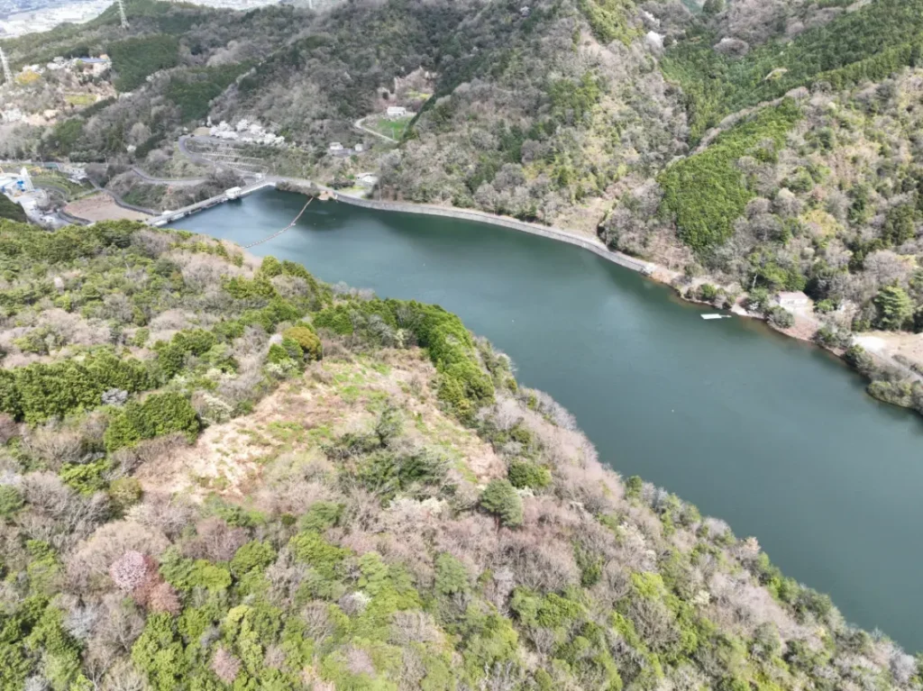 穿過重信川的櫻花隧道。東溫市4月賞櫻・春季絕景駕車地圖