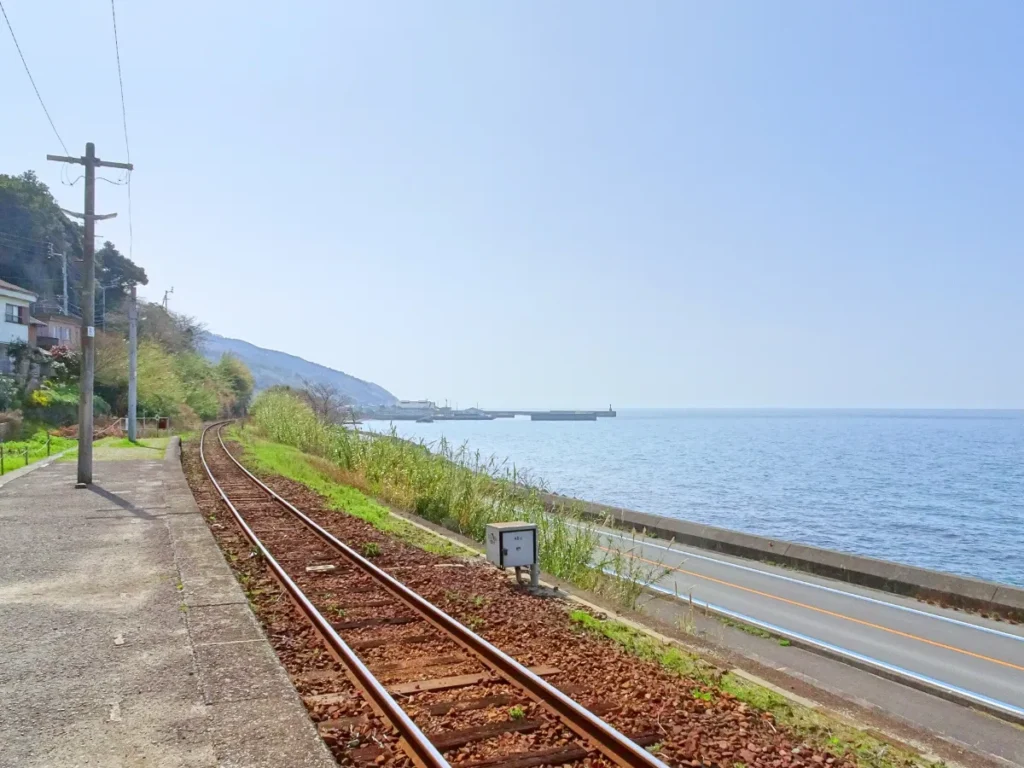 中山町的螢火蟲與初夏的大海。伊予市六月濕潤的自然風情・繡球花總覽