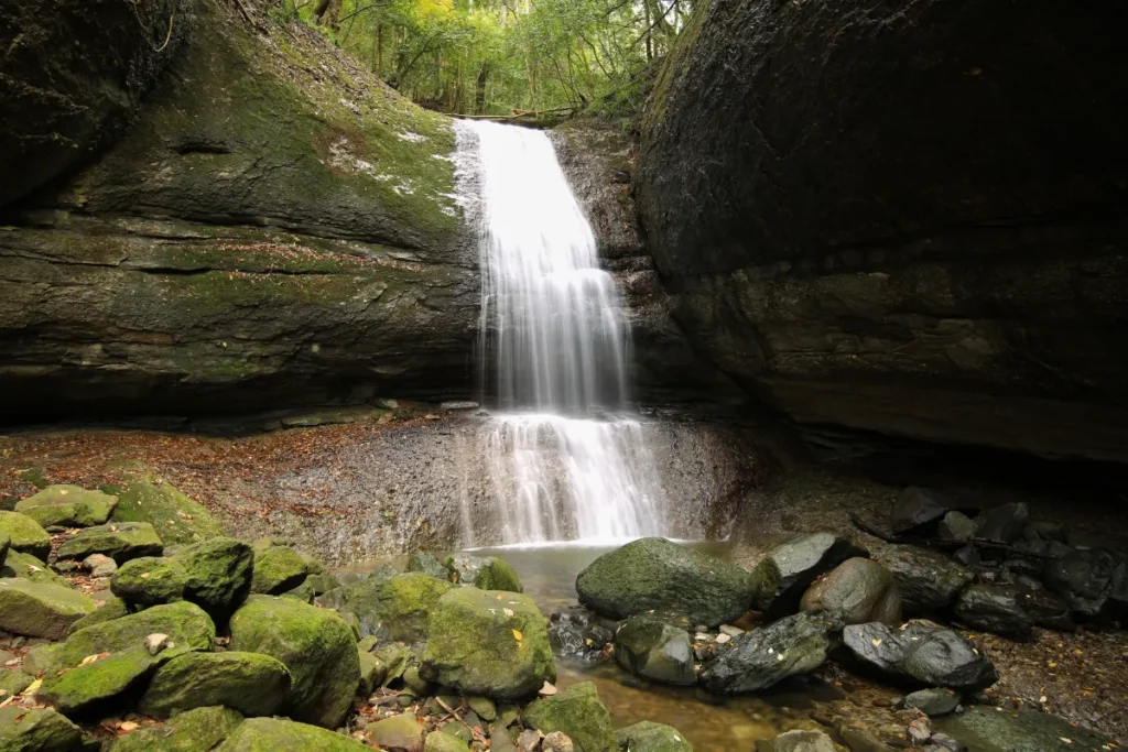 紫陽花と静かなアート巡り。東温市6月のしっとり初夏・屋内お出かけまとめ