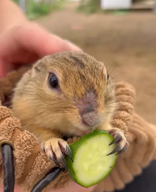 海を望む小さな楽園で、愛くるしい動物たちと心を通わせる休日