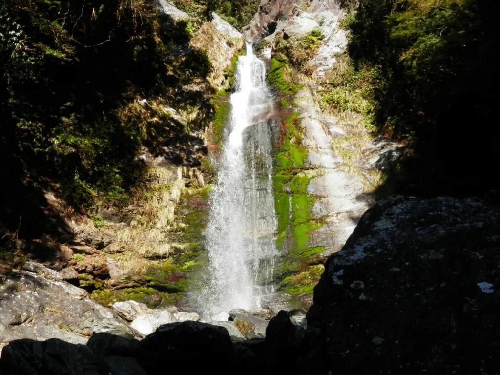 繡球花與濕潤景緻。新居濱市六月梅雨季的室內與自然活動