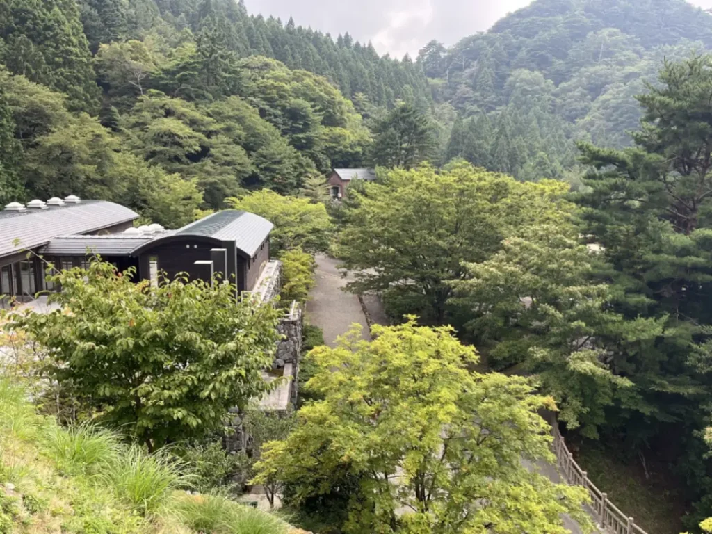 巡遊新春東予！新居濱市1月新年參拜・冬季點燈活動指南