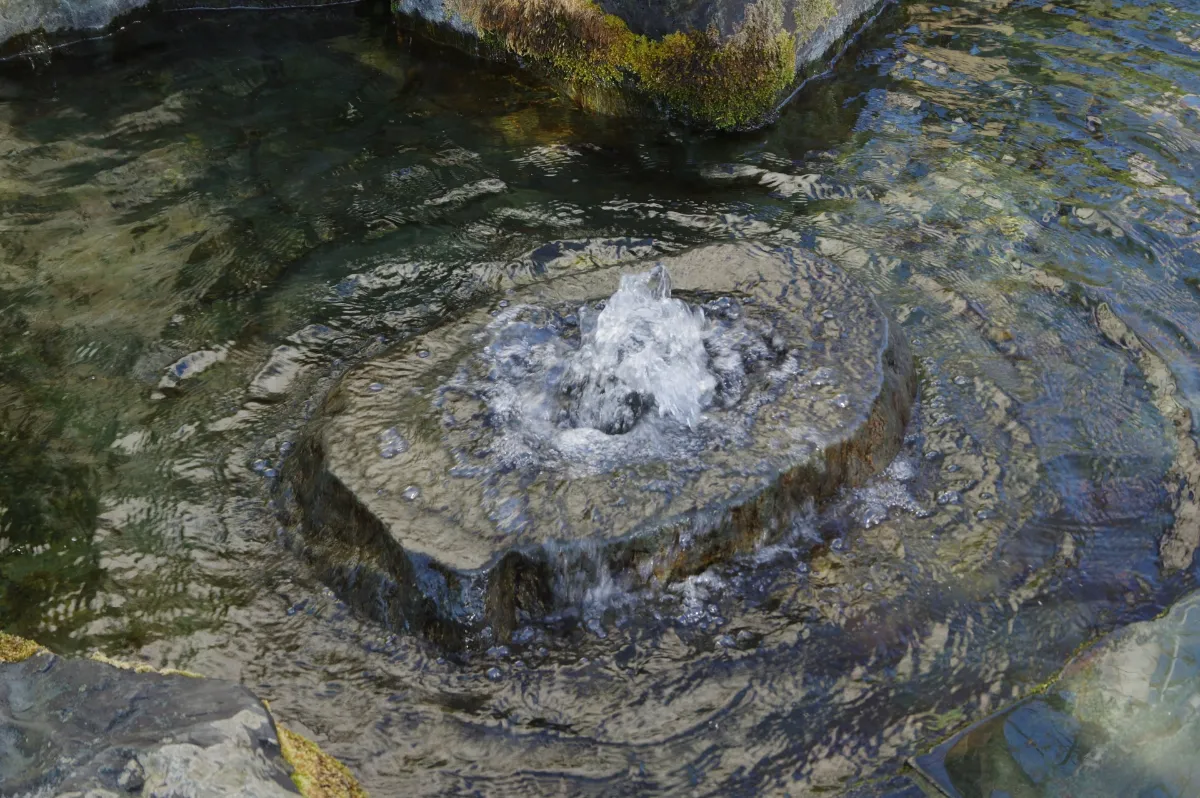 名水孕育的美酒與冬日美食。西條市2月酒窖巡禮及早春出遊指南