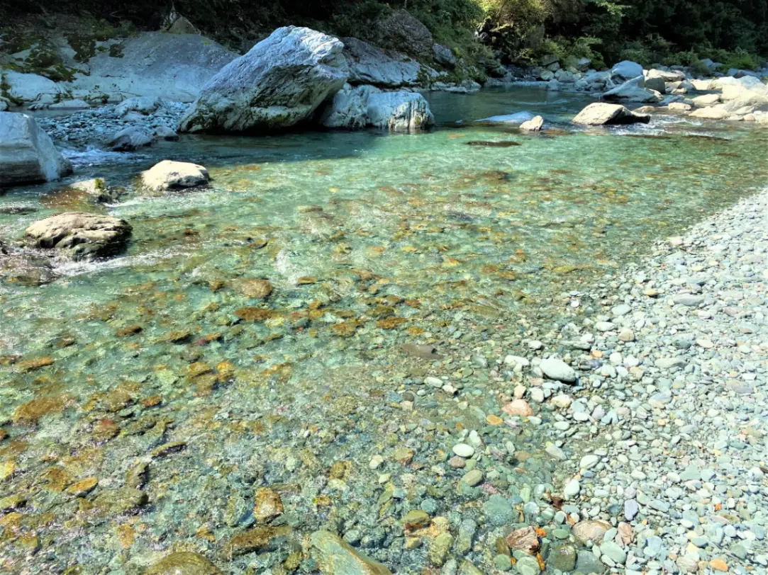 黃金週前往石鎚的大自然！新綠閃耀的西條市5月戶外活動與出遊資訊