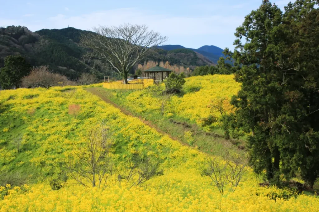 復古街景與人偶裝飾。伊予市2月的「郡中街區人偶裝飾」・冬季出遊指南