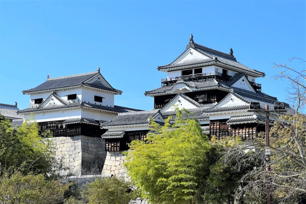 [Latest March 2027] Ehime Matsuyama Event Calendar & Map! Dogo Onsen Festival & Night Cherry Blossom Illumination