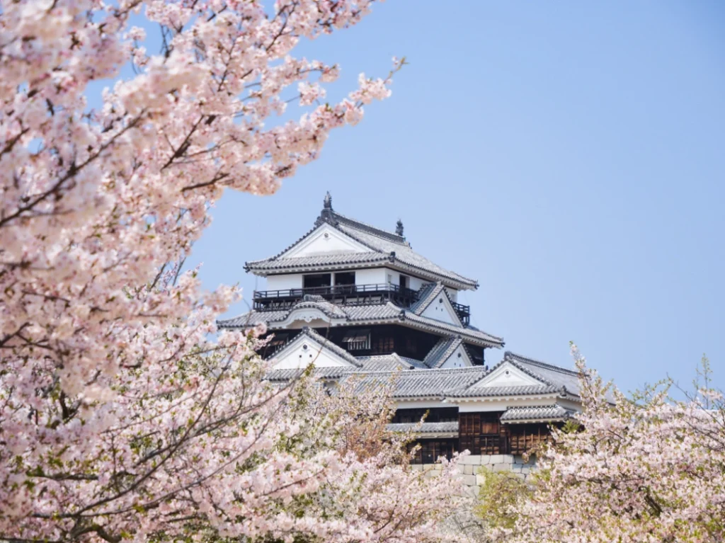 [Latest April 2026] Ehime Matsuyama Event Calendar & Map! Matsuyama Spring Festival (Castle Festival) & Tobe Pottery Festival