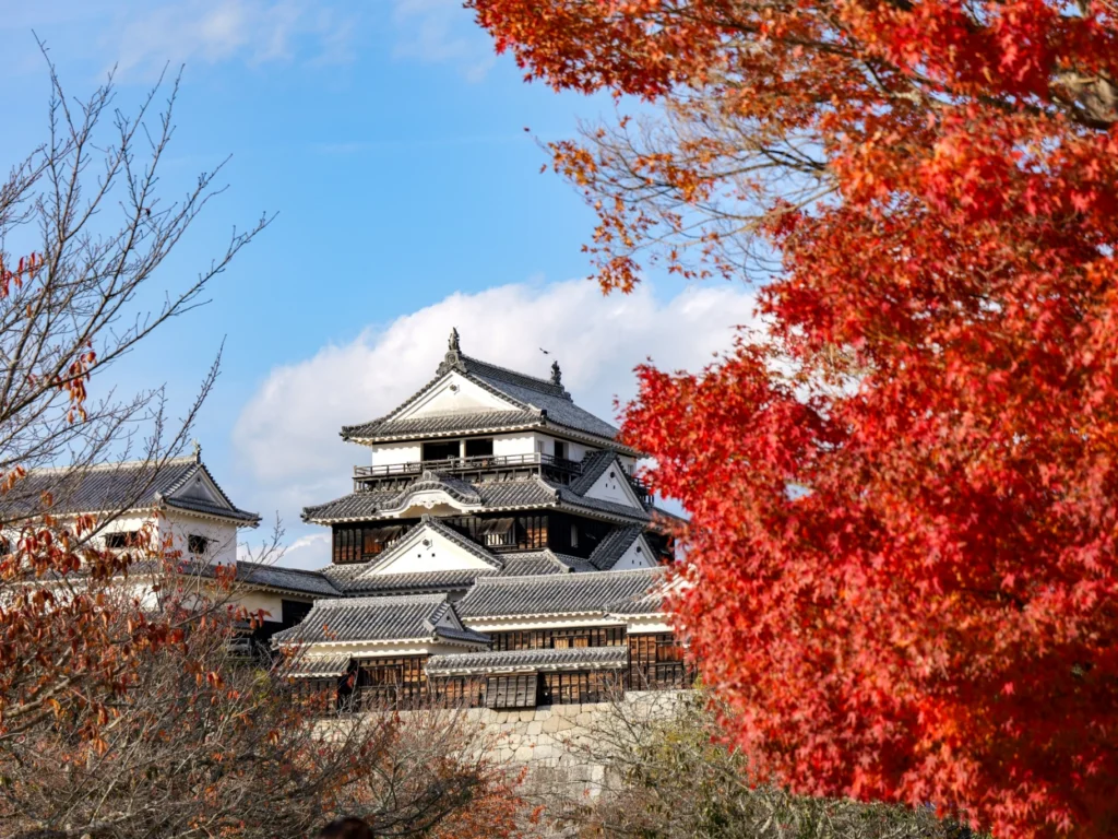 [Latest November 2026] Ehime Matsuyama Event Calendar & Map! Matsuyama Castle Ninomaru Garden of Light & DOGO ART