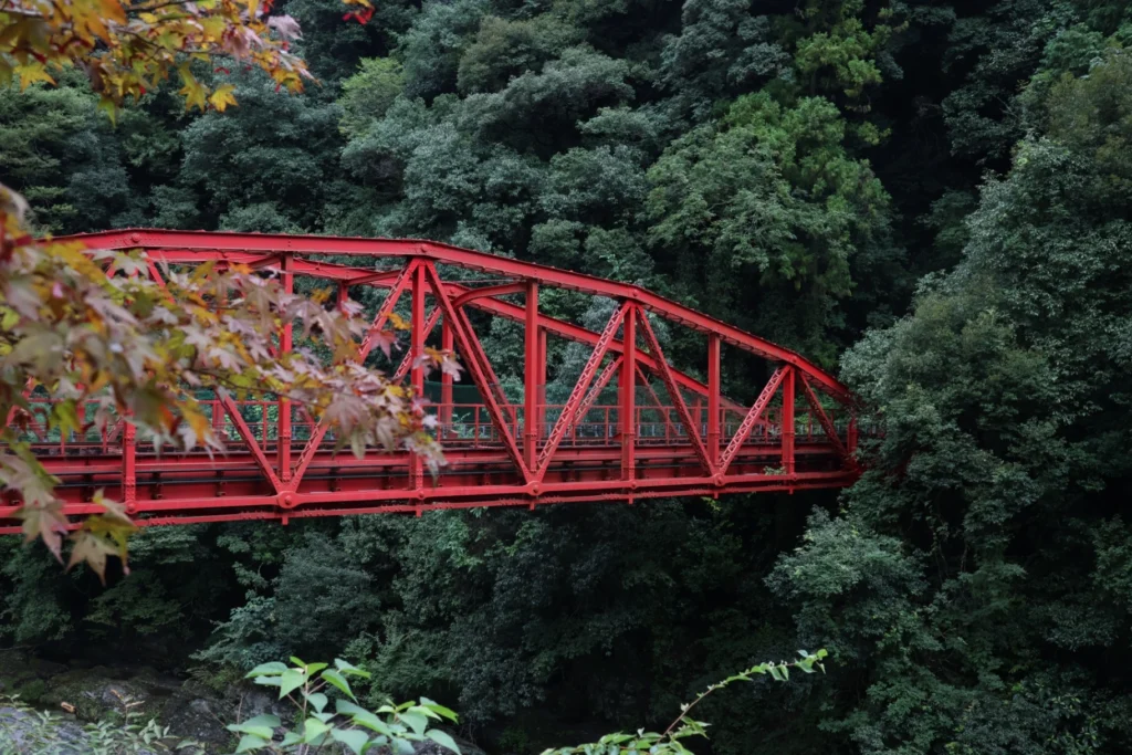 Niihama Dog-Friendly Spots Map | Trolley Train, Dog Run, Beach Side Walks