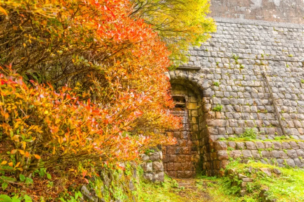 【絕對必看】豪華絢爛・太鼓祭的狂熱！新居浜市10月祭典・秋季活動完全版