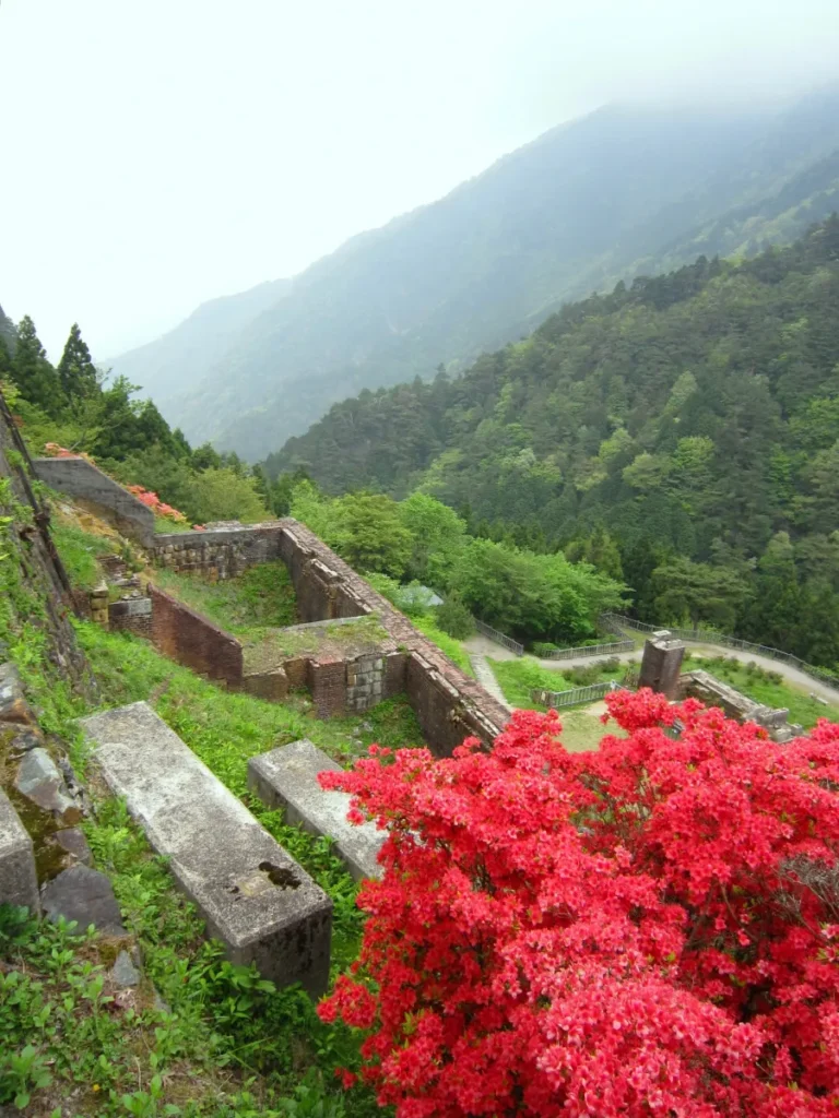 鮮豔的紅葉與食慾之秋！新居濱市11月產業祭・秋季旅遊駕車地圖