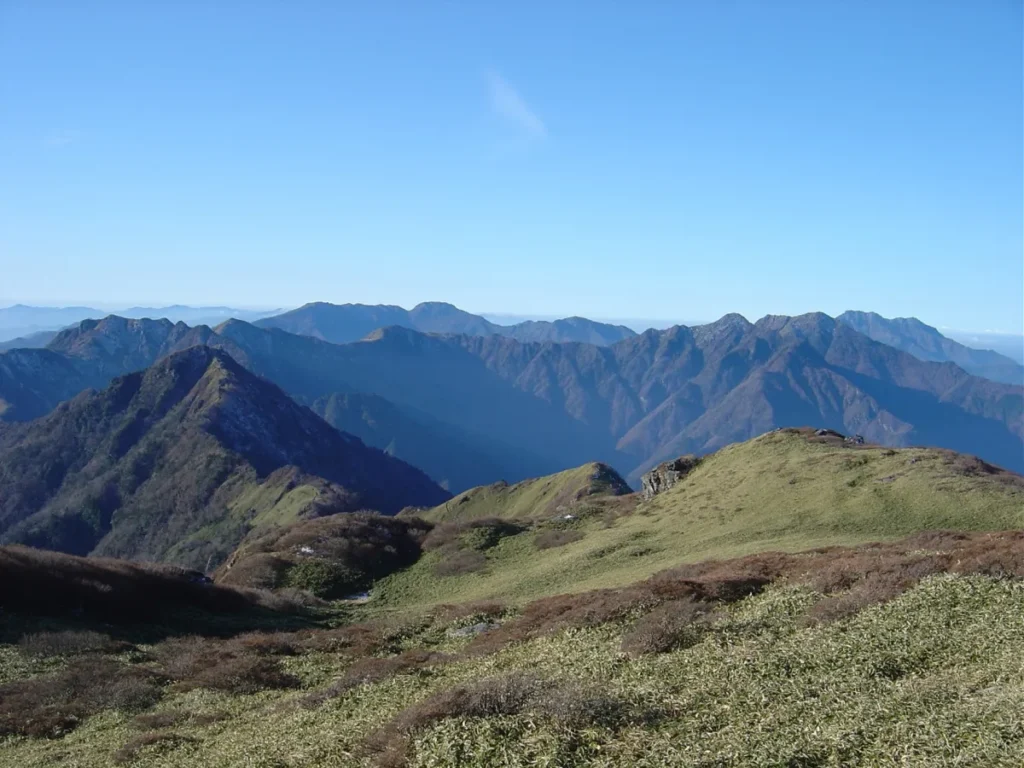 春風そよぐ加茂川沿いへ！西条市3月の家族向けレジャー＆春待ちイベント