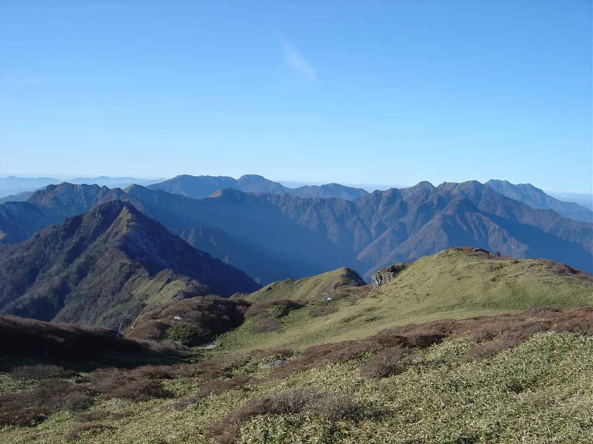 春風輕拂沿著加茂川！西條市3月的家庭休閒＆迎春活動