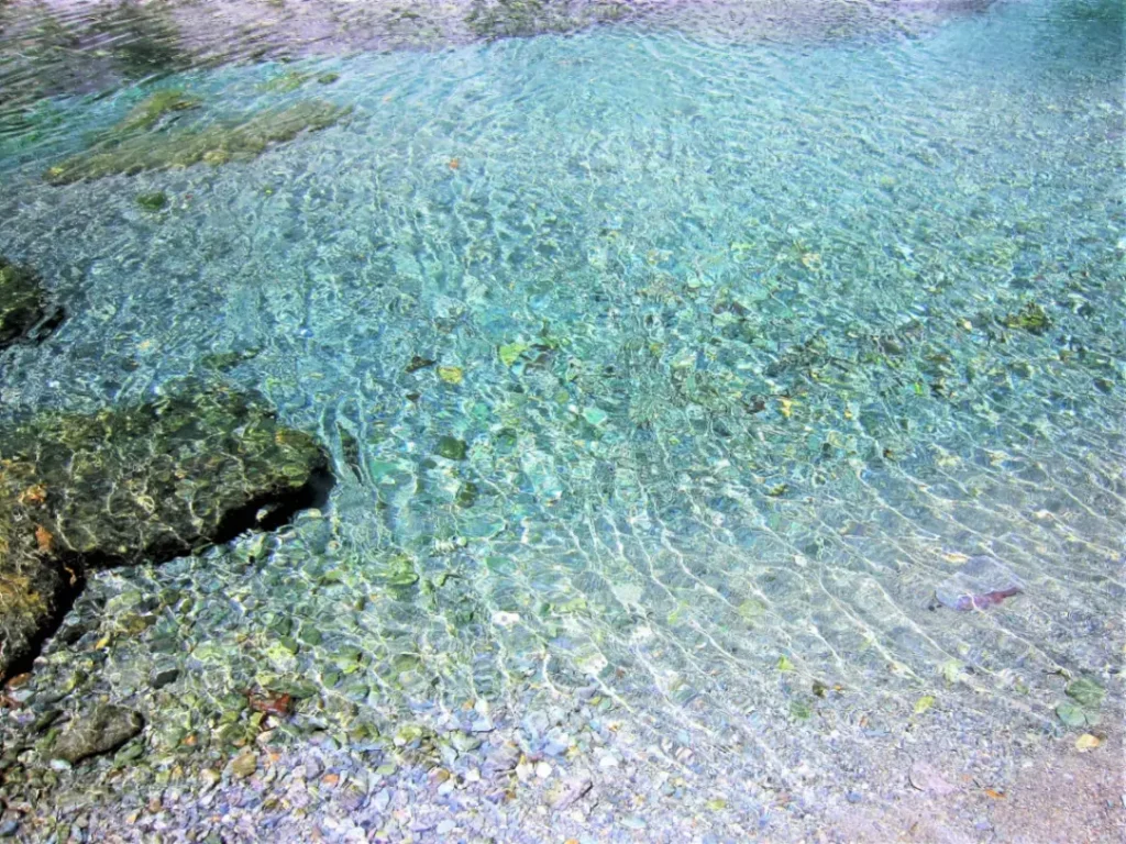 名水とホタルの共演。西条市6月のしっとり紫陽花＆初夏イベントまとめ