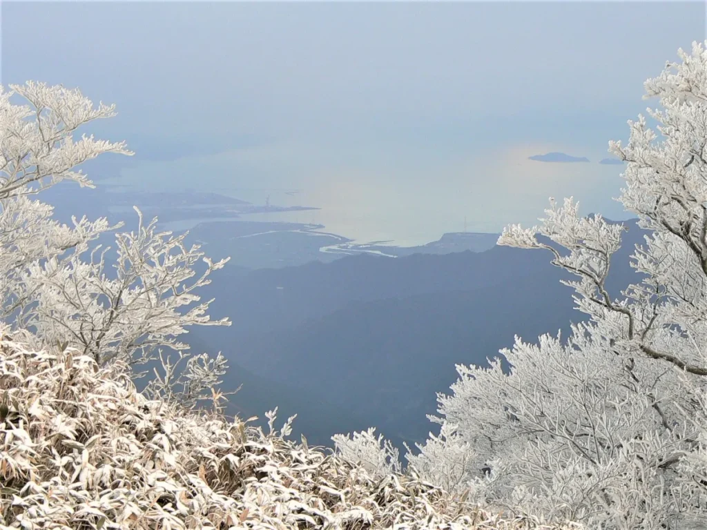 水の都を彩るイルミネーション。西条市12月のクリスマス＆年末行事まとめ