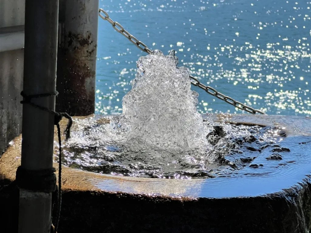 【2026年最新】西条市の年間イベントカレンダー！西条まつり・行事まとめ