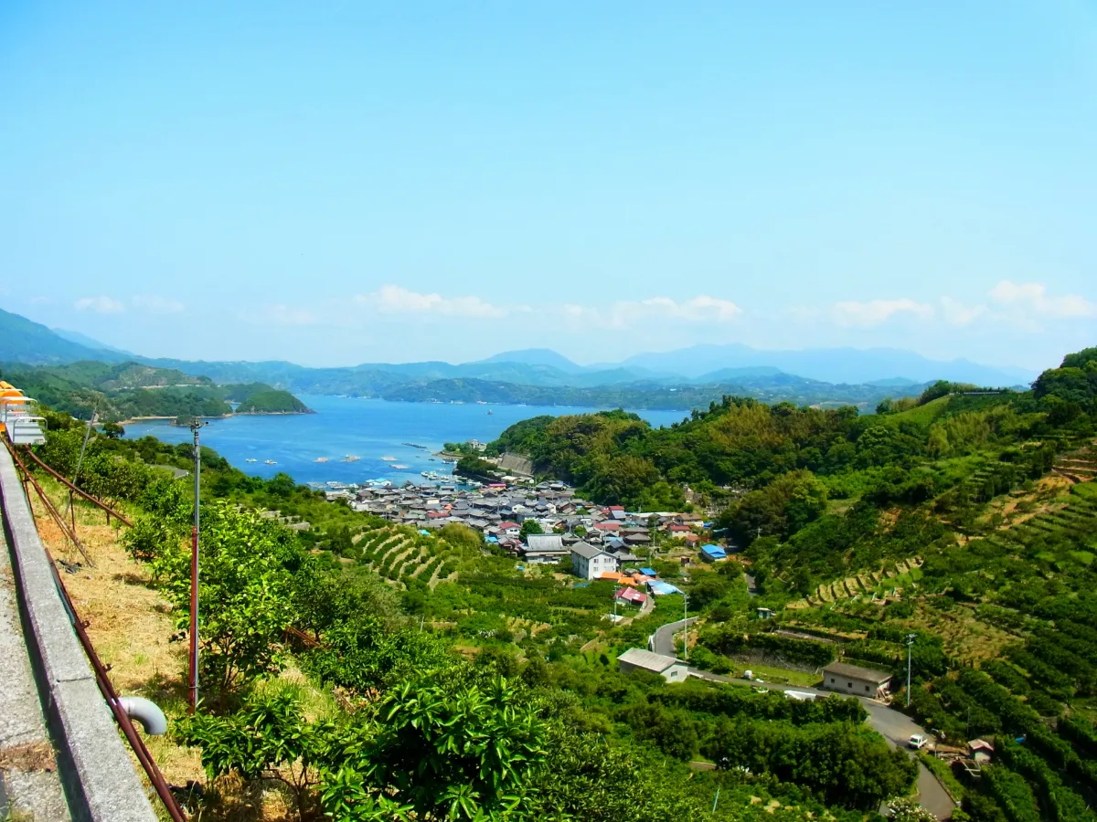 從海邊到山區新春兜風！西予市1月新年參拜・卯之町冬季散步導覽