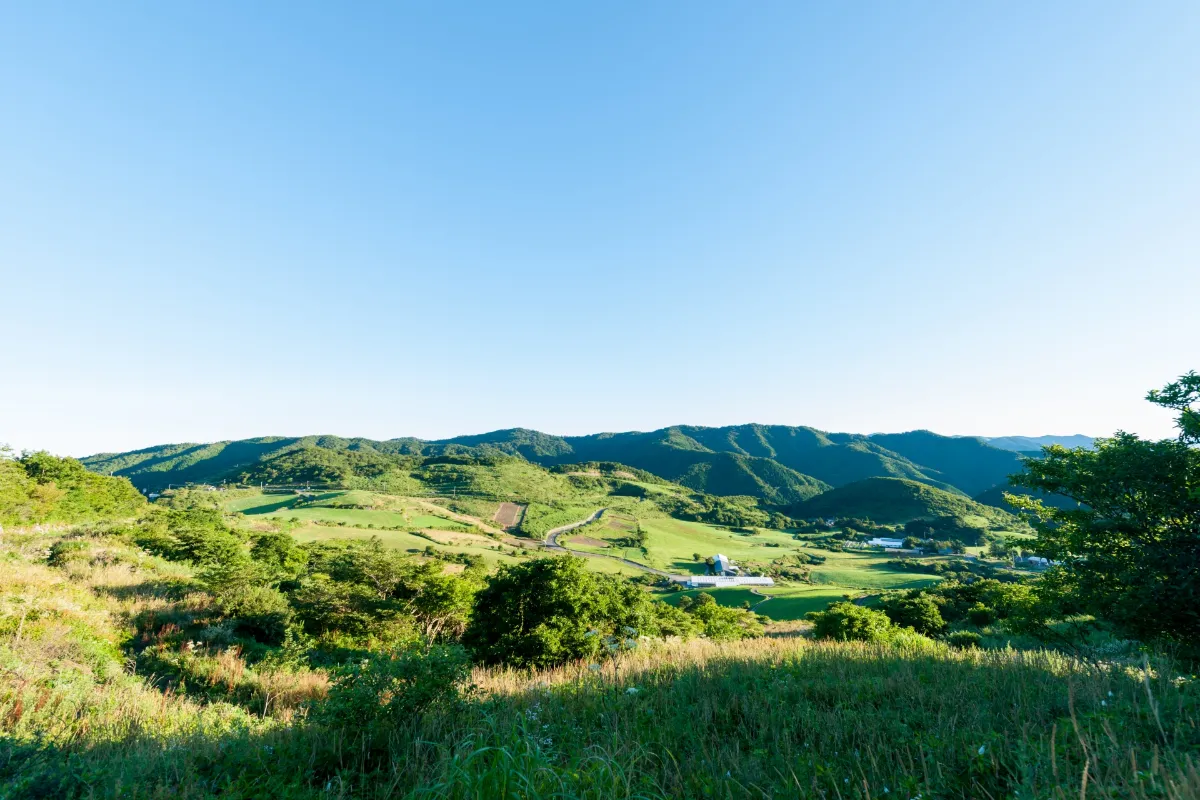 城川的奧伊予生栗與秋風兜風。西予市9月的豐收祭・賞月地圖