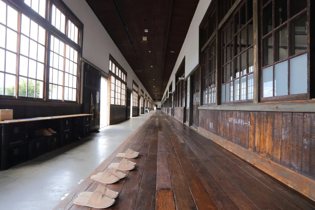 【絕對必看】Z-1大獎賽與牛鬼的激戰！西予市10月秋季祭典完全攻略版