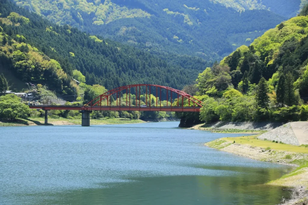 春休みはどこ行く？四国中央市3月のお花見先取り＆家族向けレジャー