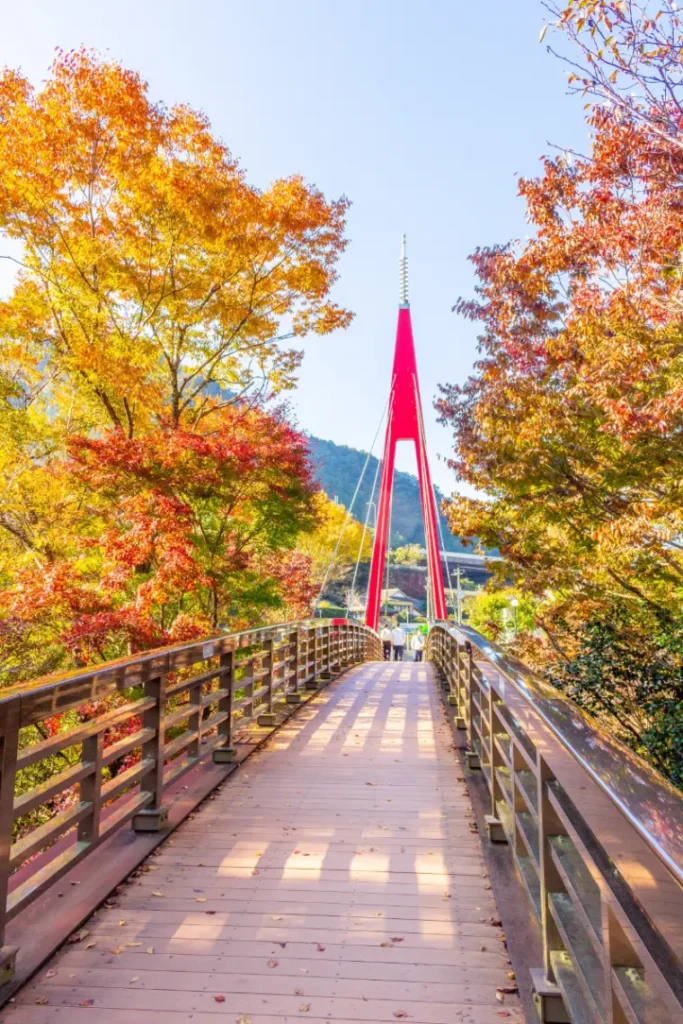 豪華絢爛・秋の太鼓祭りが激突！四国中央市10月の祭り・秋のイベント完全版