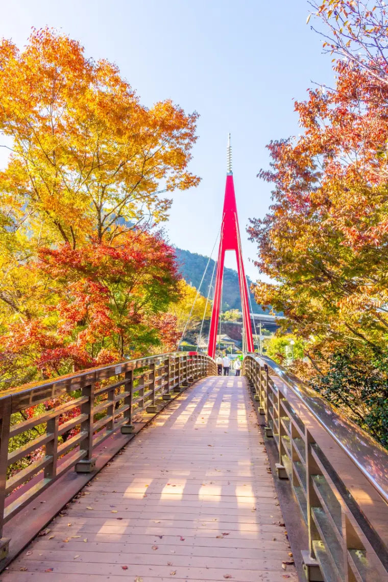豪華絢爛・秋季太鼓祭激烈碰撞！四國中央市10月慶典・秋季活動完整版