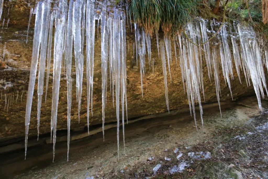 甜美的草莓與室內娛樂！東溫市2月的採草莓・出遊美食指南