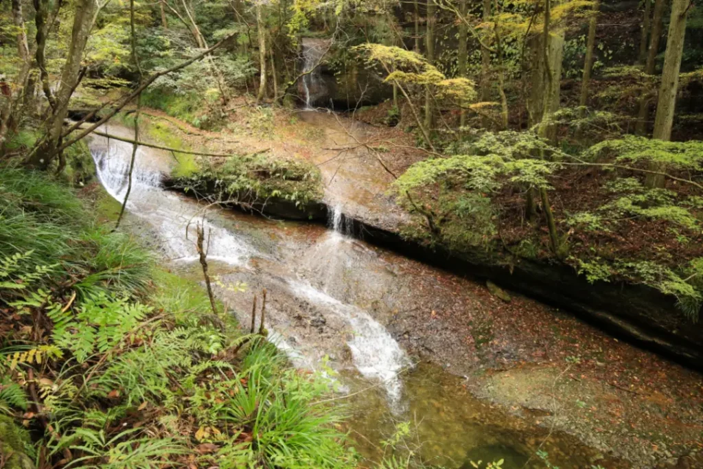 滑川溪谷涼感漫步！東溫市七月水上遊憩與夏日祭典指南