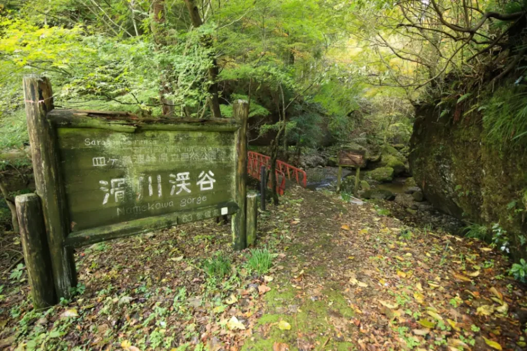 秋季祭典的熱情與豐收的喜悅。東溫市10月傳統活動・秋季休閒完整版