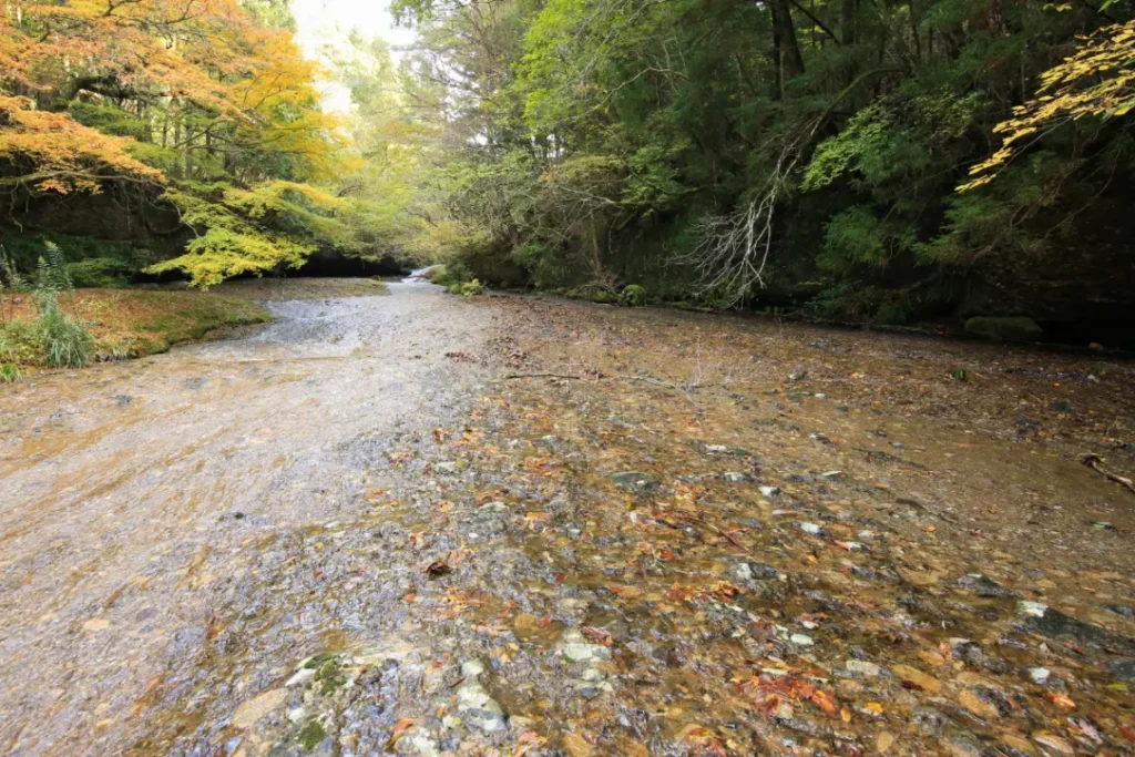 溪谷的紅葉與東溫的秋季美食！東溫市11月的東溫產業祭・觀光自駕地圖