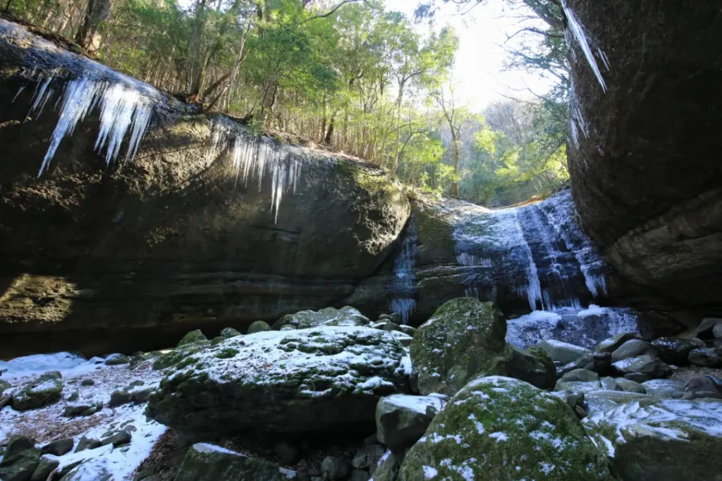 點亮街道的燈飾與戲劇欣賞。東溫市12月的冬季活動・歲末節目