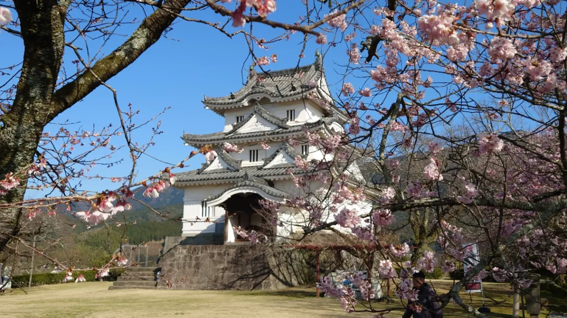 春假到城下町！宇和島市3月搶先賞櫻＆適合家庭的休閒活動