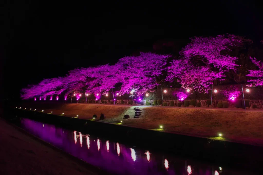 宇和島城の桜が満開！宇和島市4月のお花見・絶景ローカル春祭りマップ