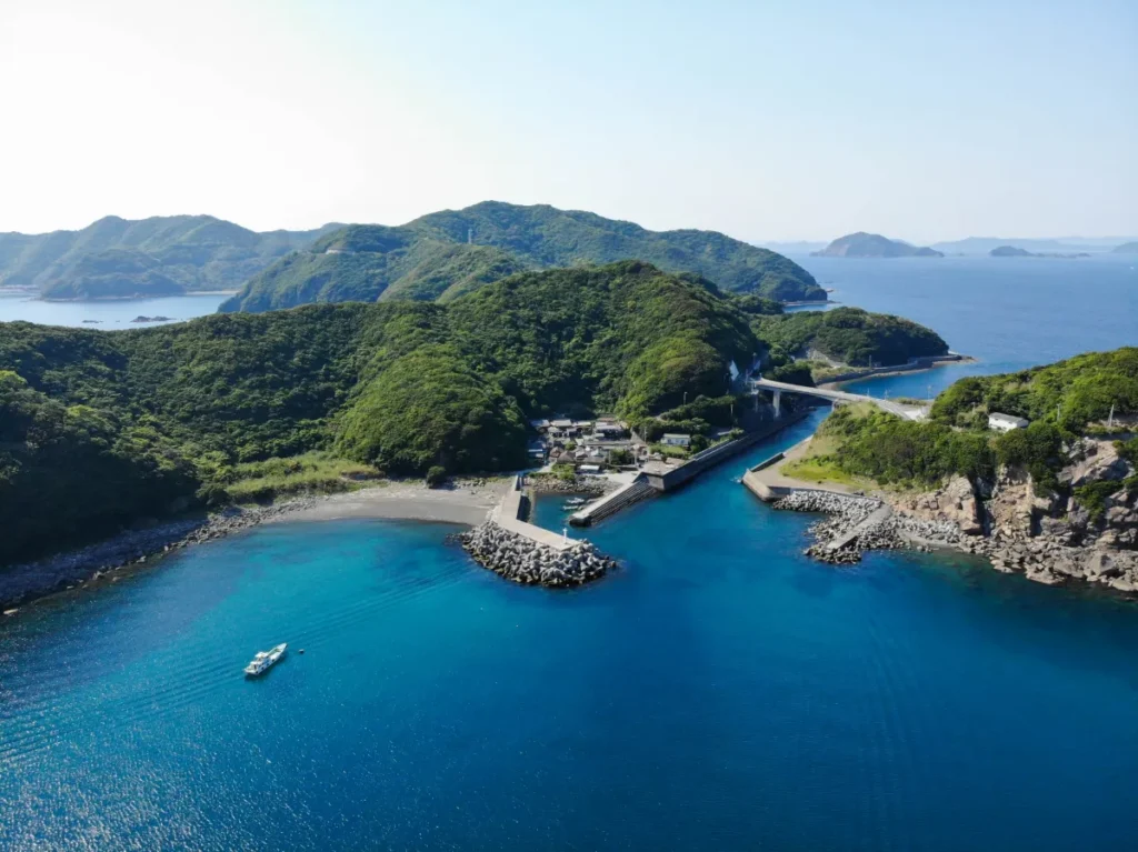 【超必見】牛鬼まつりと闘牛の熱狂！宇和島市7月の夏イベント完全版