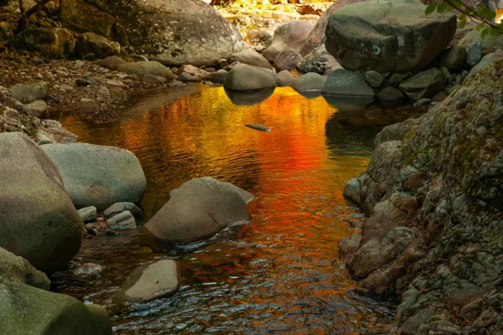 闘牛秋場所と八ツ鹿踊り！宇和島市10月の祭り・秋のイベント完全版